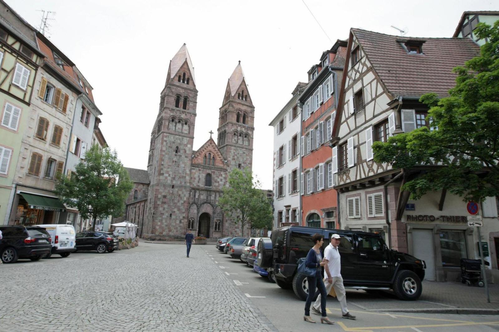 Gite Les Tourterelles Selestat - 30Min Europapark Ngoại thất bức ảnh